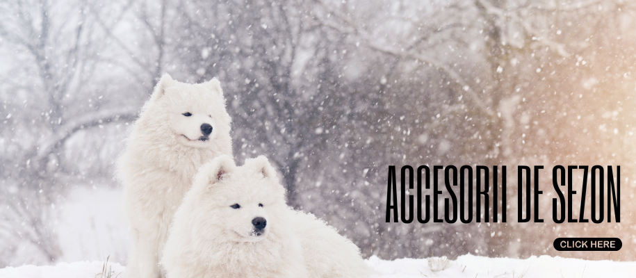 Petshop Haine Catei si Pisici